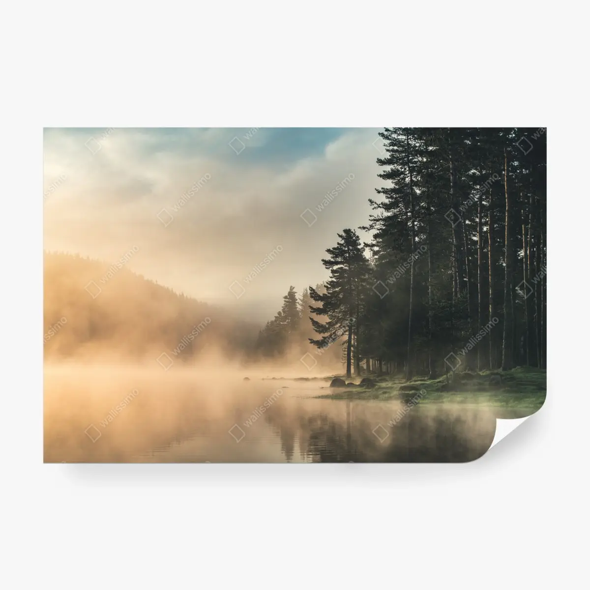 Fototapete nebliger sonnenaufgang über waldsee – Wallnifity®