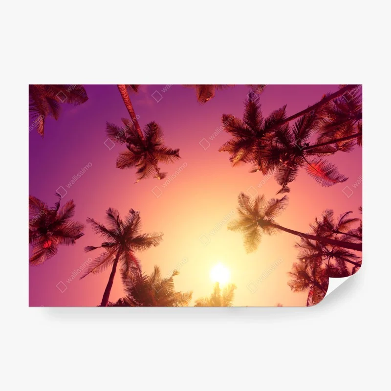 Boho – Wallnifity®