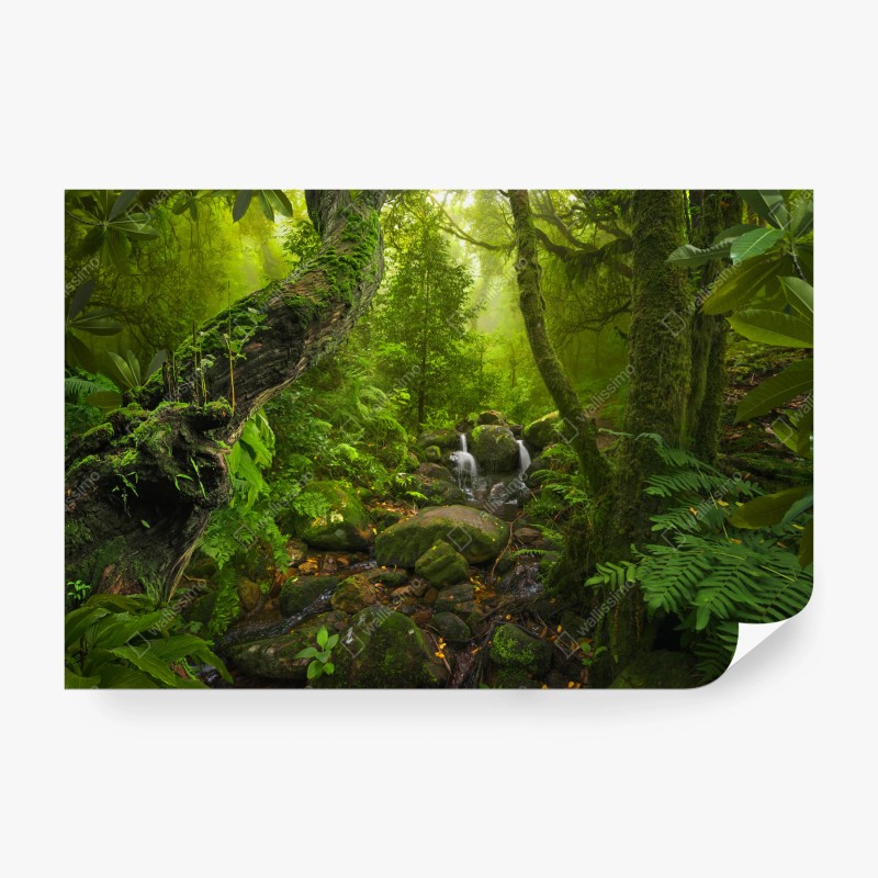 Fototapeten – Wallnifity®