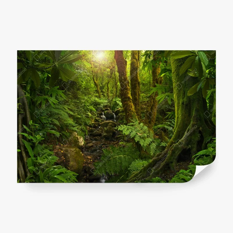 Wälder – Wallnifity®