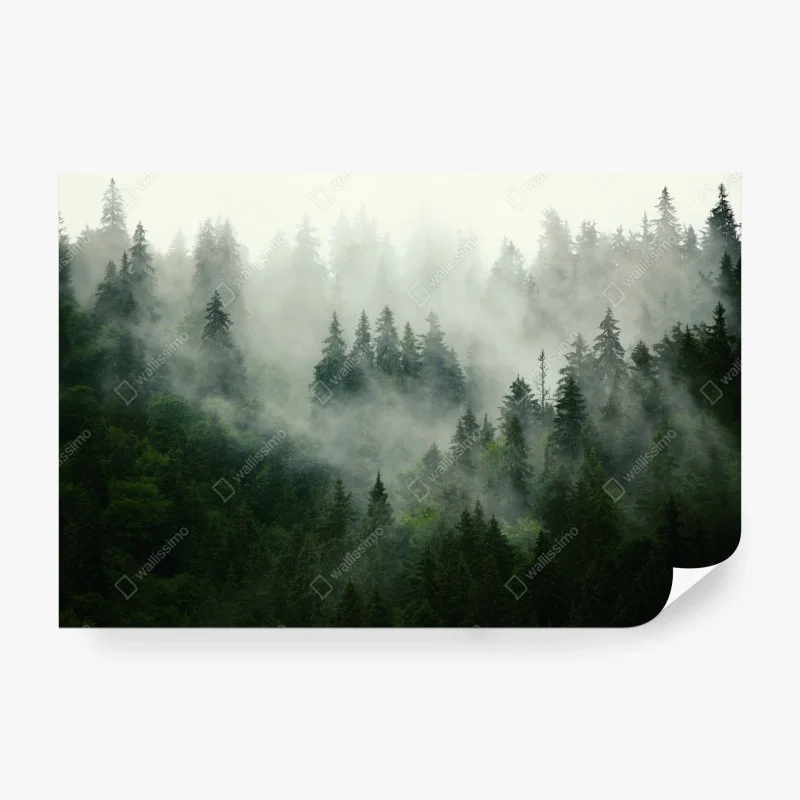 Skandinavisch – Wallnifity®