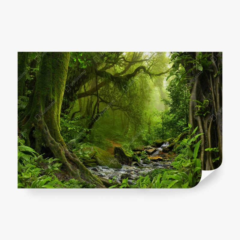 Natur – Wallnifity®
