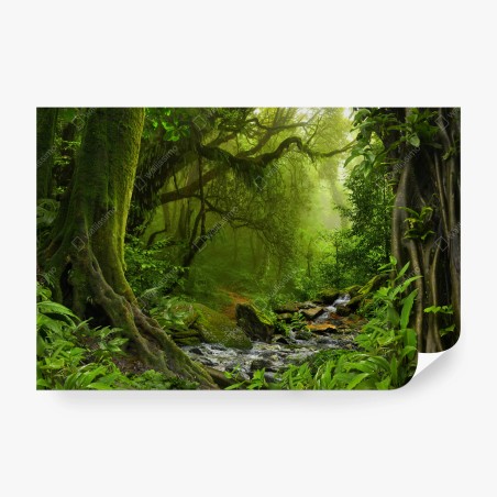 Fototapete verwunschener grüner wald mit bach – Wallnifity®