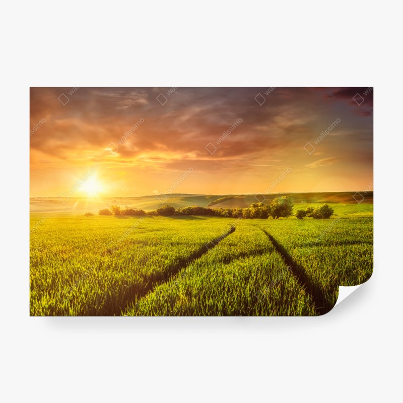 Rustikal – Wallnifity®