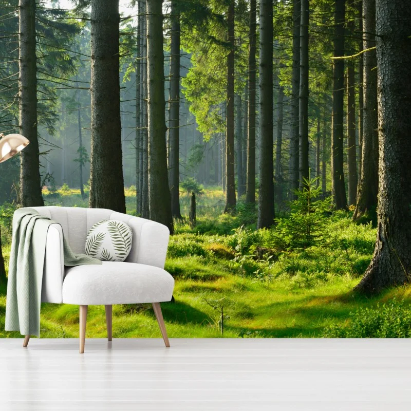 Wälder – Wallnifity®