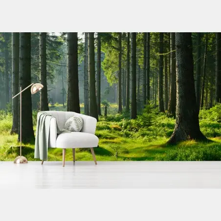 Fototapete sonnige grüne lichtung im wald – Wallnifity®