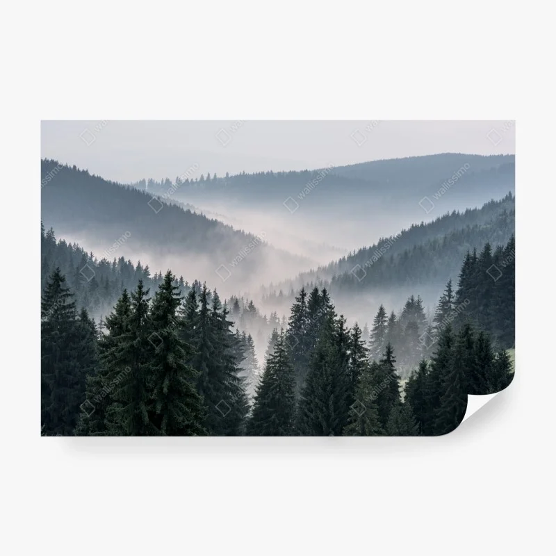 Natur – Wallnifity®