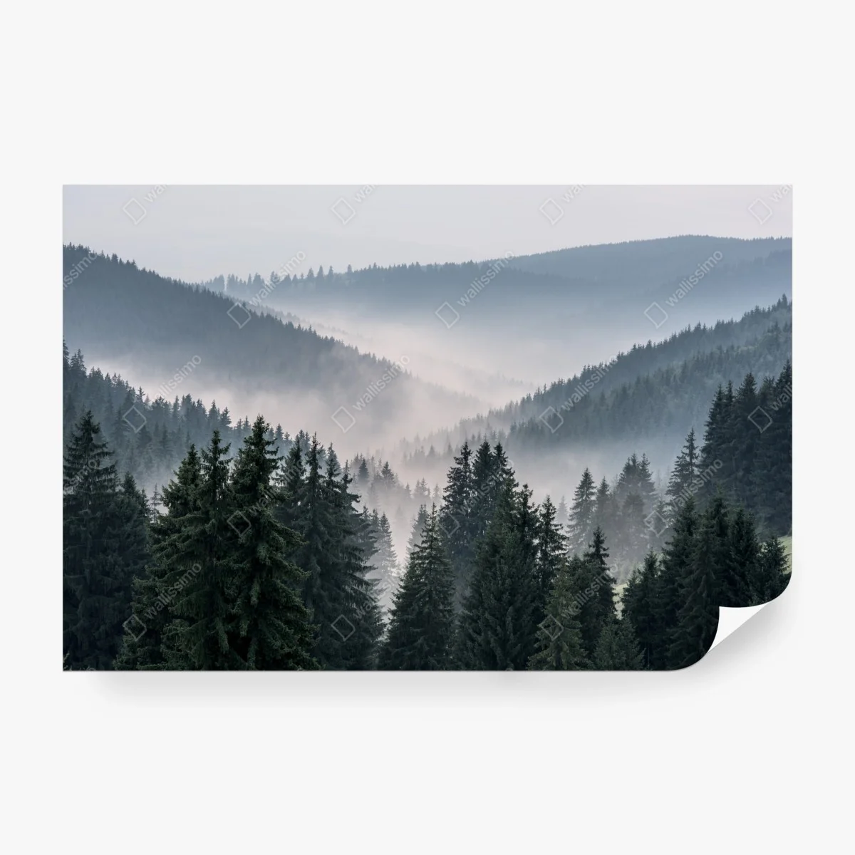 Fototapete nebliger bergwald – Wallnifity®