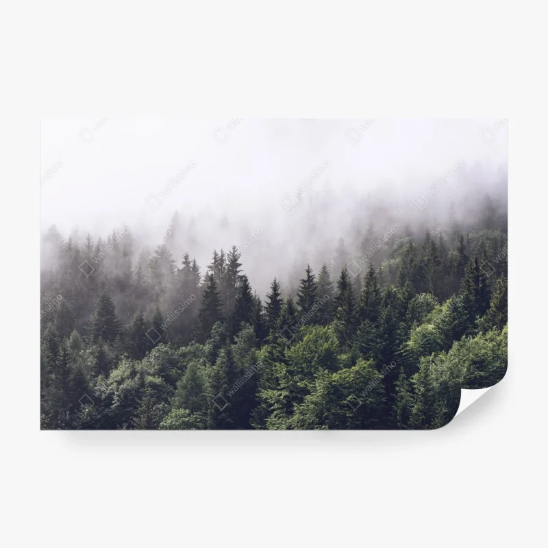 Skandinavisch – Wallnifity®