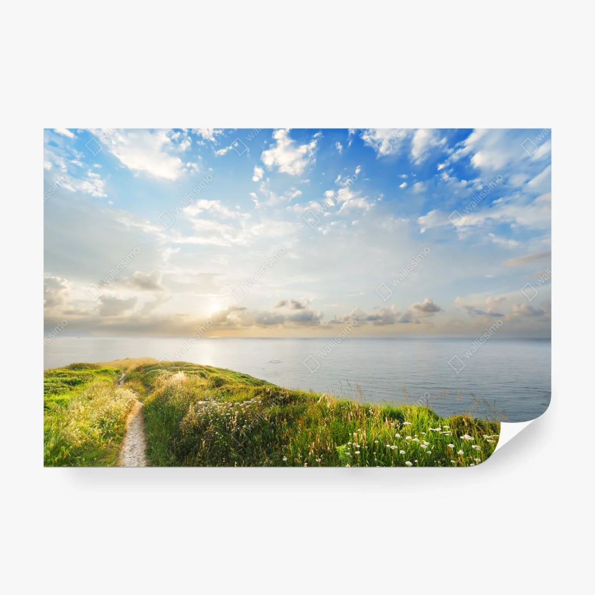 Fototapete sonniger küstenpfad zum meer – Wallnifity®