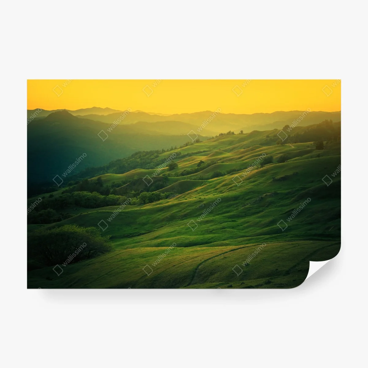 Fototapete hügel von Nordkalifornien bei sonnenuntergang – Wallnifity®