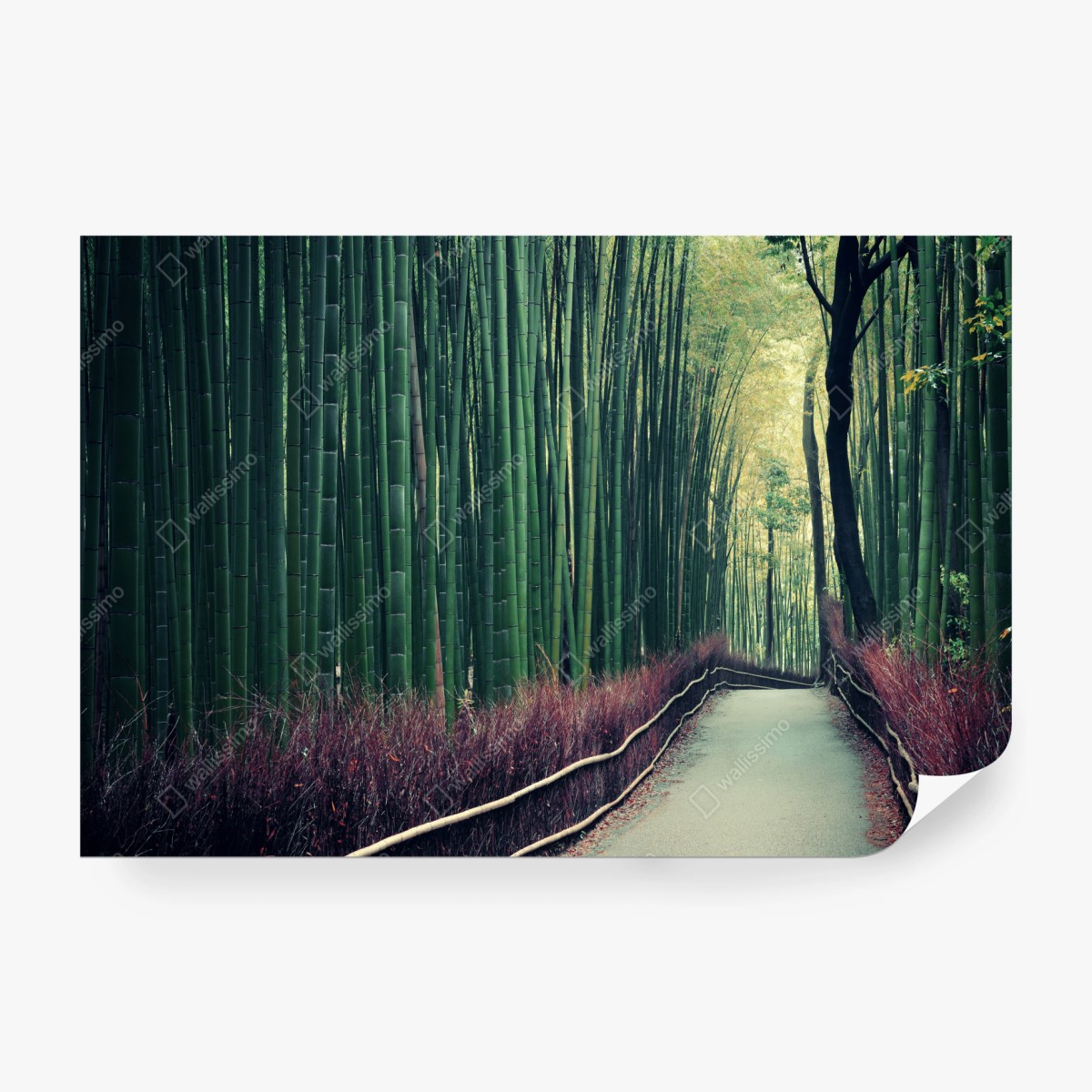 Fototapete ruhiger bambuspfad in Arashiyama – Wallnifity®