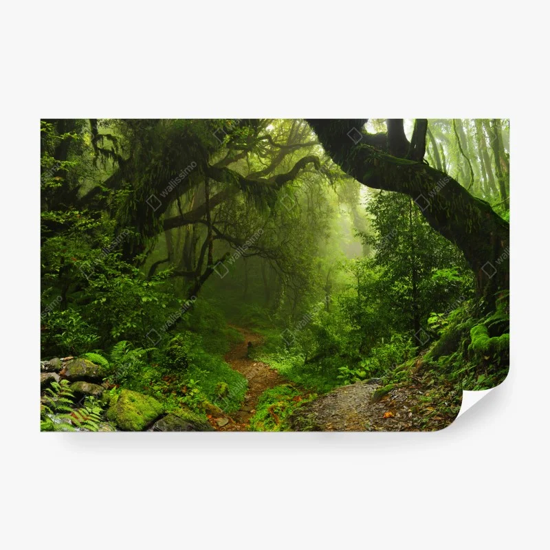 Wohnzimmer – Wallnifity®