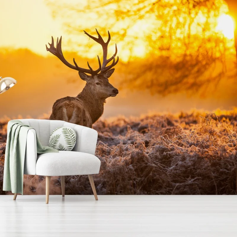 Tiere – Wallnifity®