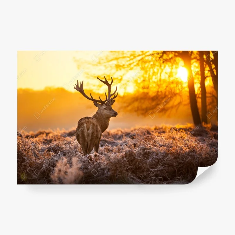 Tiere – Wallnifity®