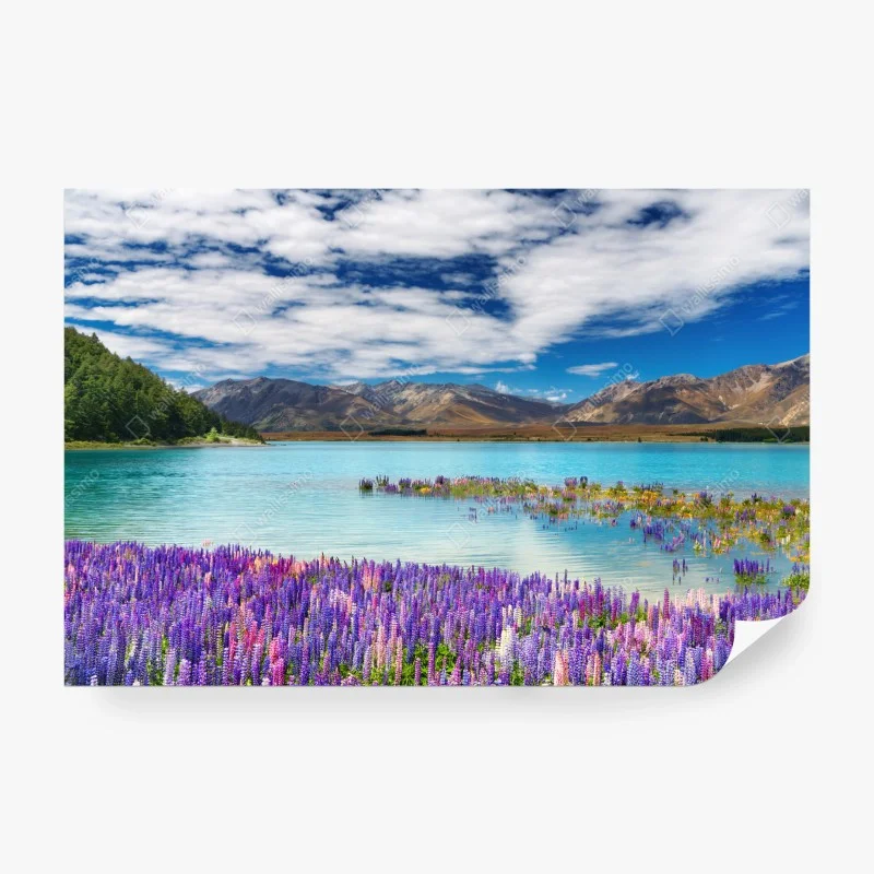 Flüsse & Seen – Wallnifity®