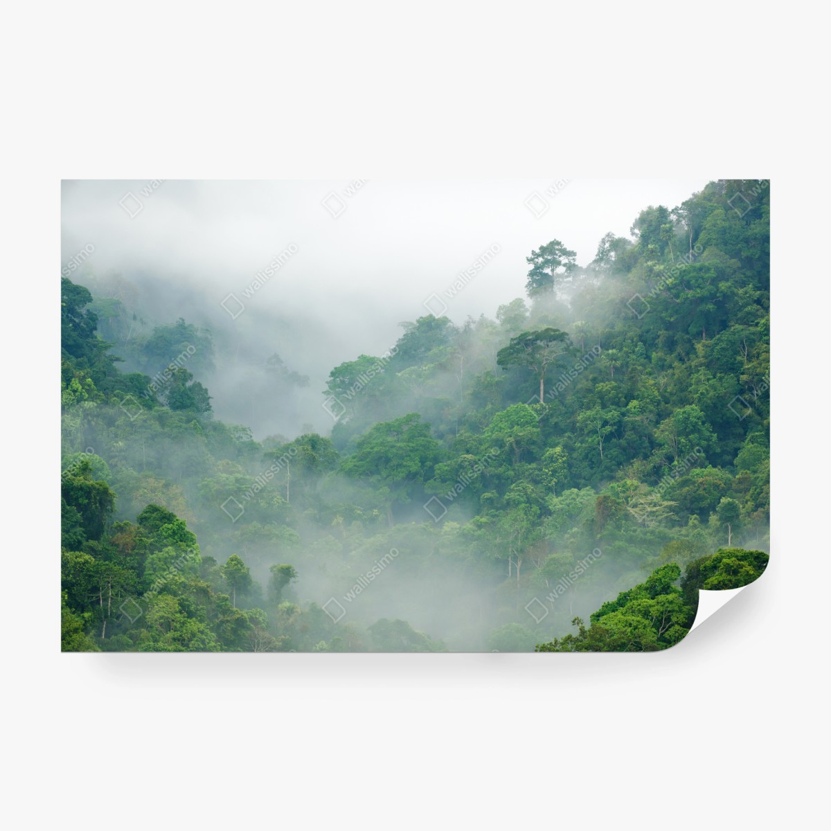 Fototapete morgendlicher nebel über Kaeng Krachan – Wallnifity®