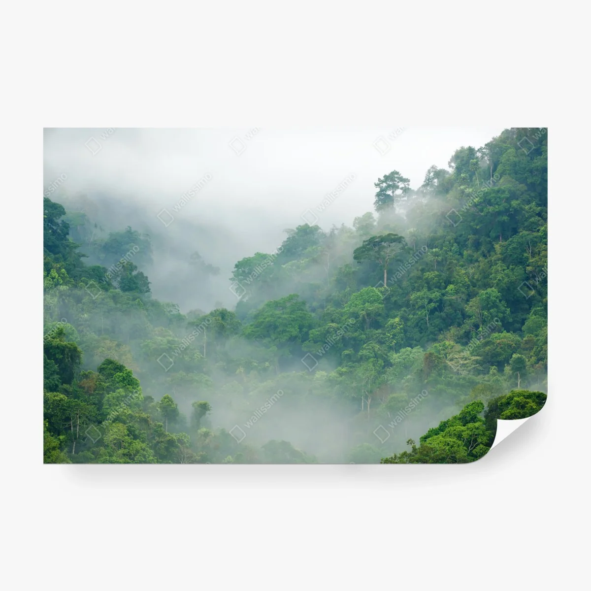 Fototapete morgendlicher nebel über Kaeng Krachan – Wallnifity® Fototapete morgendlicher nebel über Kaeng Krachan – Wallnifity®