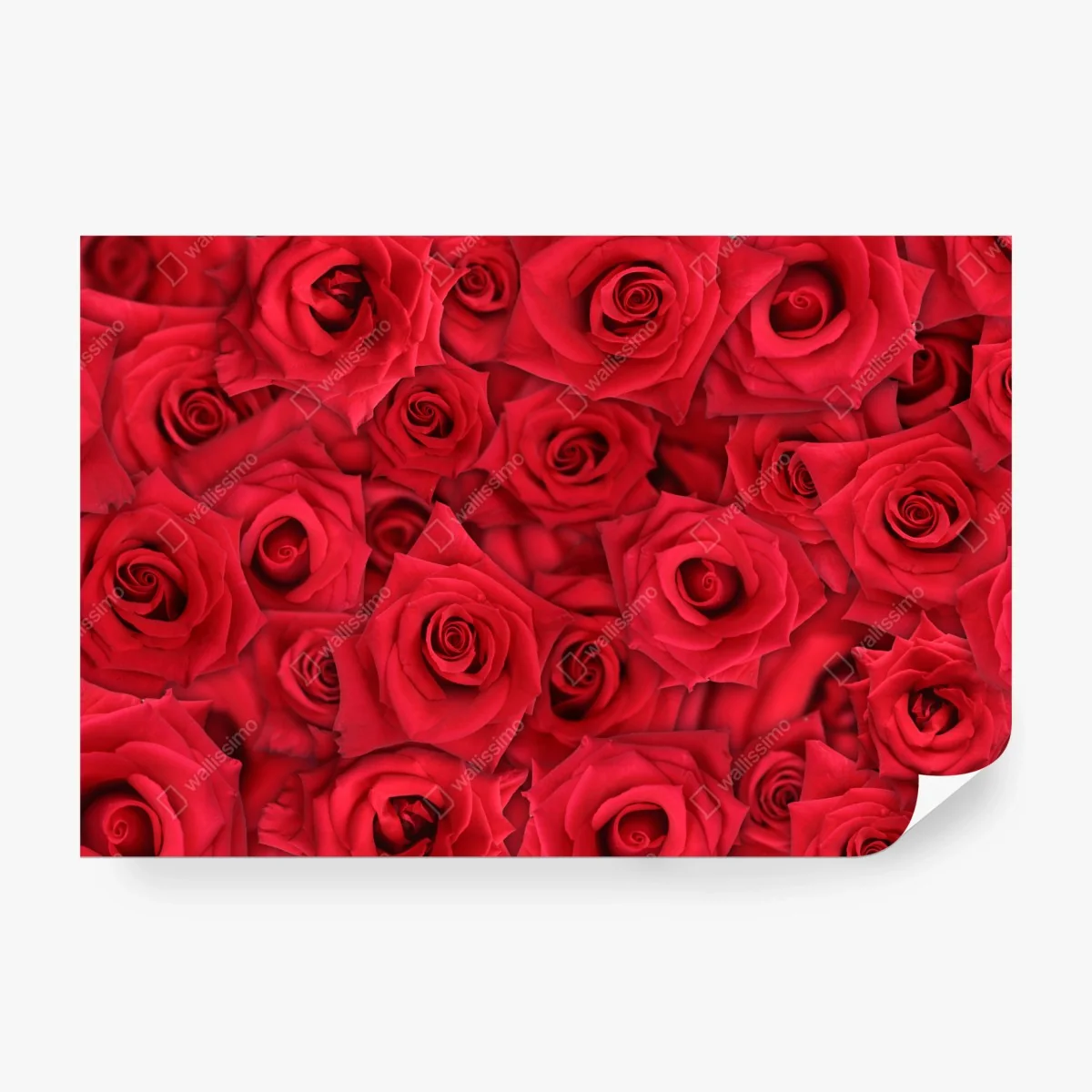 Fototapete leuchtende rote rosen collage – Wallnifity®