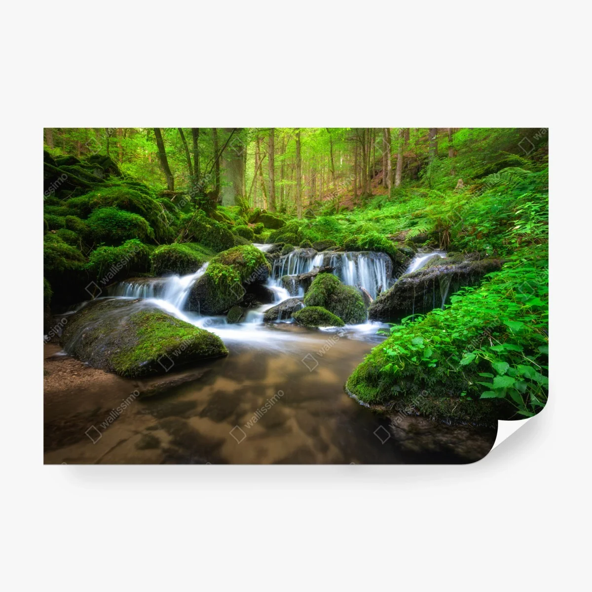 Fototapete ruhiger moosiger waldwasserfall – Wallnifity®