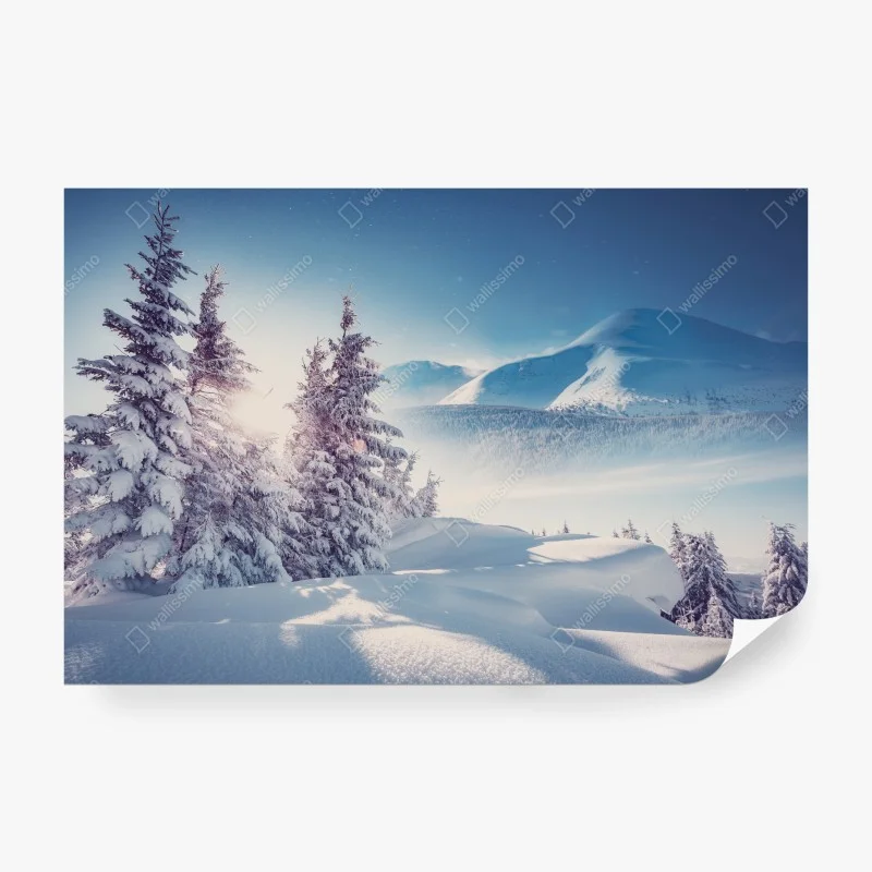 Skandinavisch – Wallnifity®