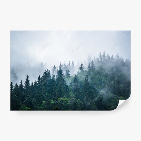 Fototapete nebliger nadelwald – Wallnifity®