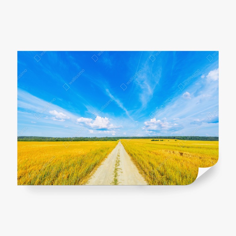 Natur – Wallnifity®