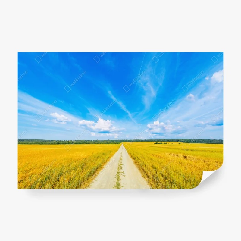 Wiesen – Wallnifity®