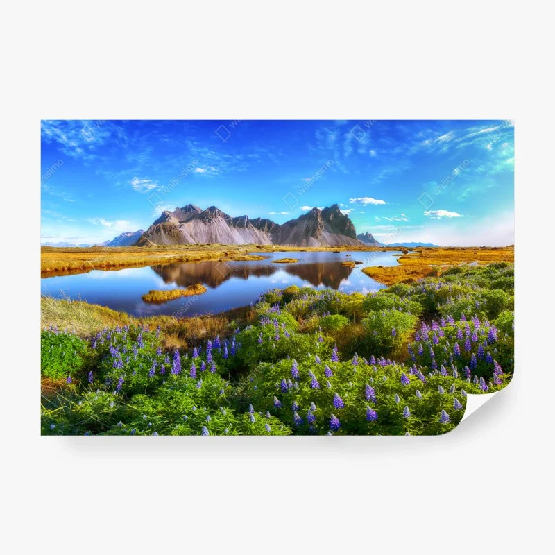 Panoramen – Wallnifity®