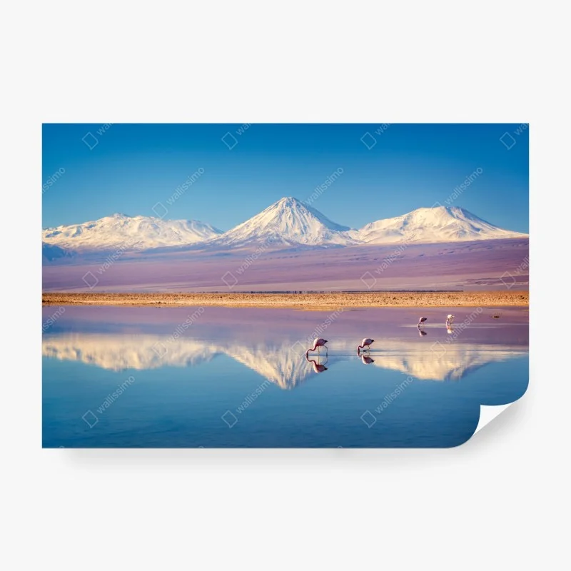 Natur – Wallnifity®