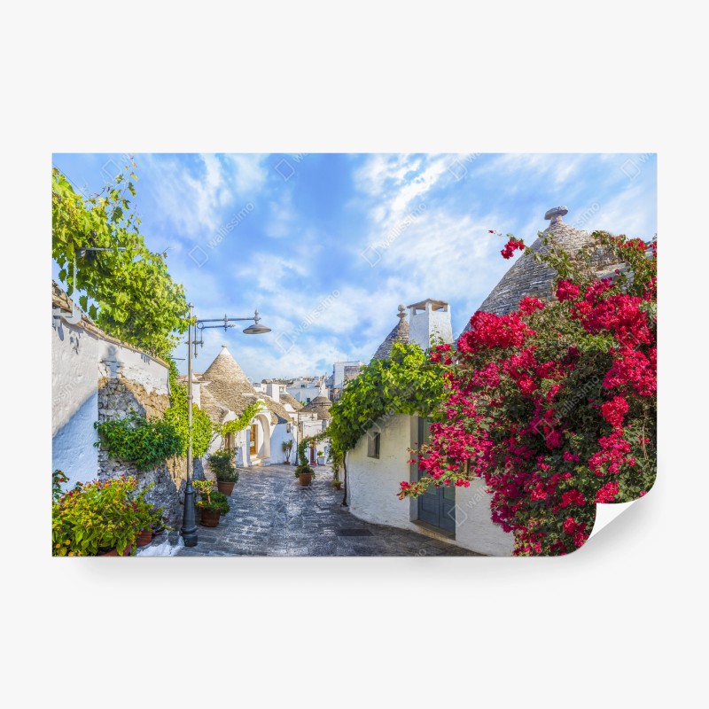 Architektur – Wallnifity®