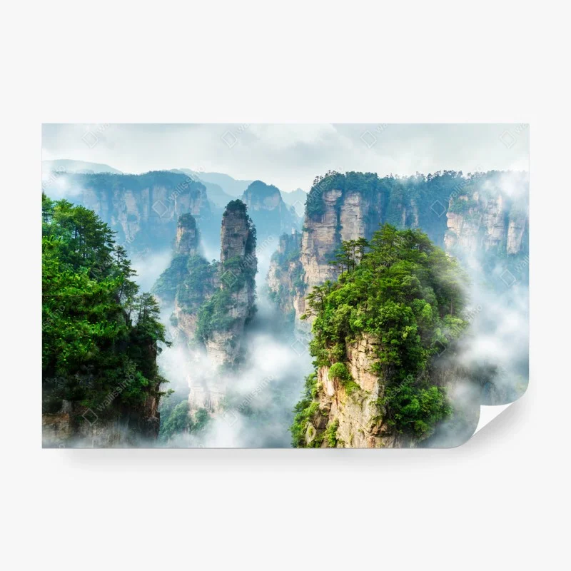 Natur – Wallnifity®