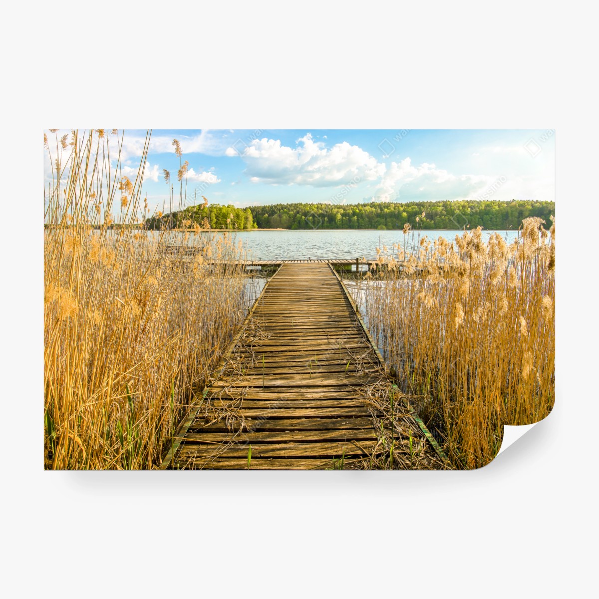 Fototapete hölzerner steg zum ruhigen see – Wallnifity®