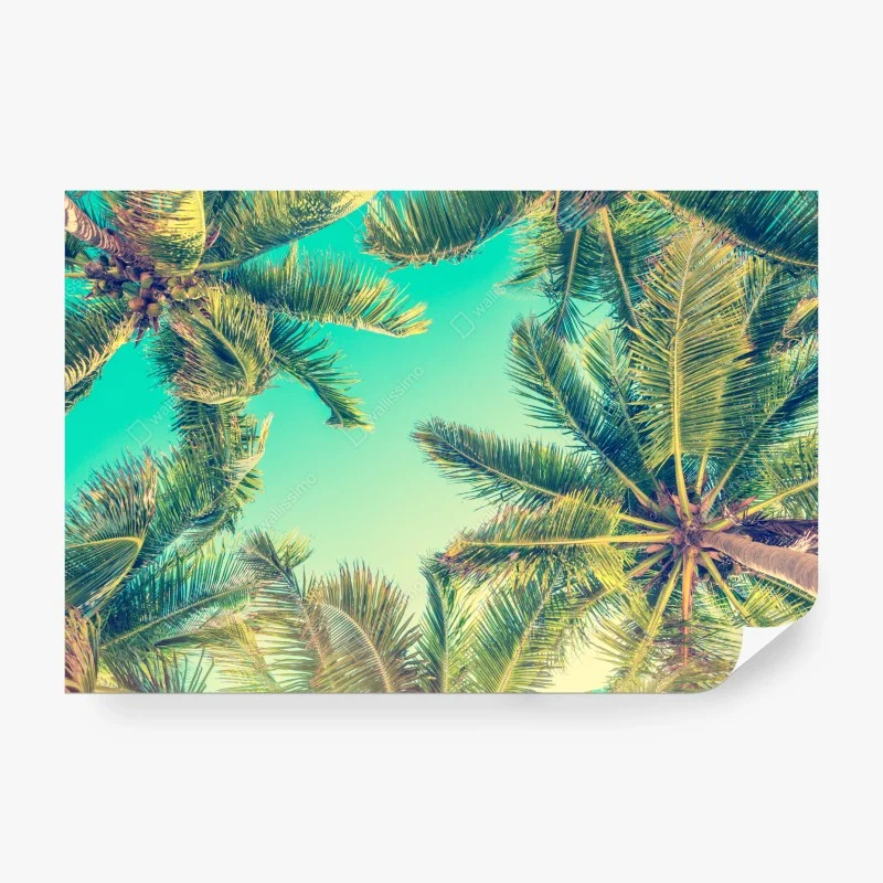 Vintage – Wallnifity®