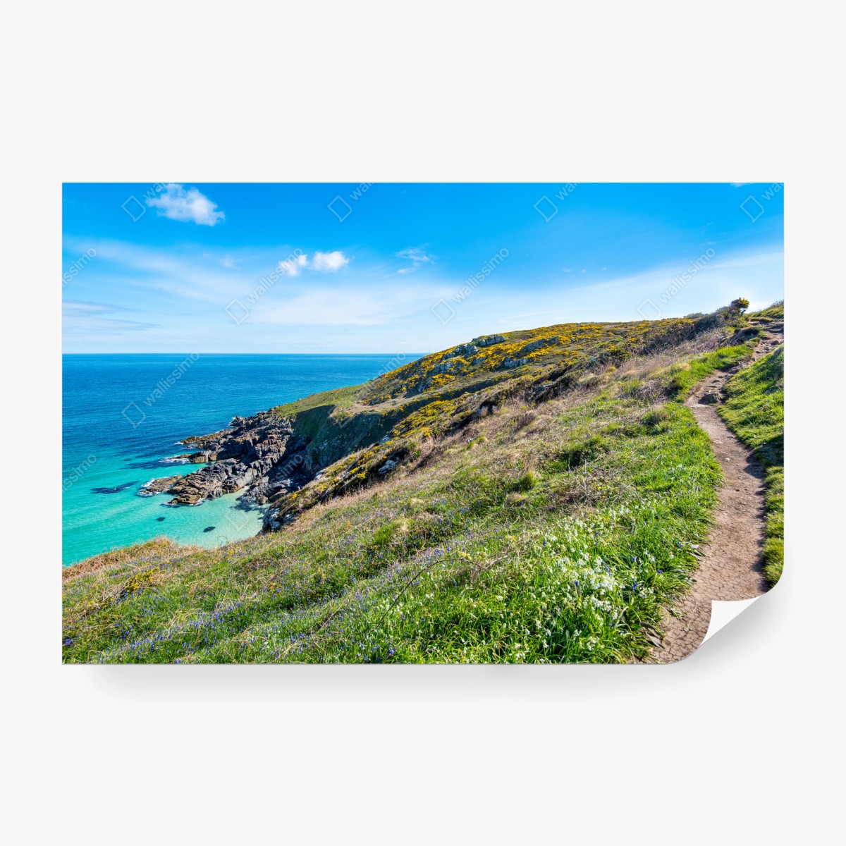 Fototapete küstenpfad nach Hor Point, St Ives – Wallnifity®