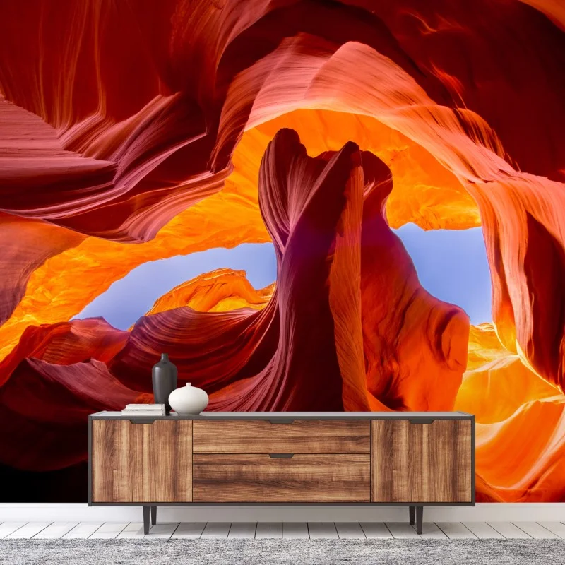 Wüste – Wallnifity®