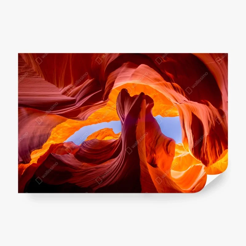 Wüste – Wallnifity®