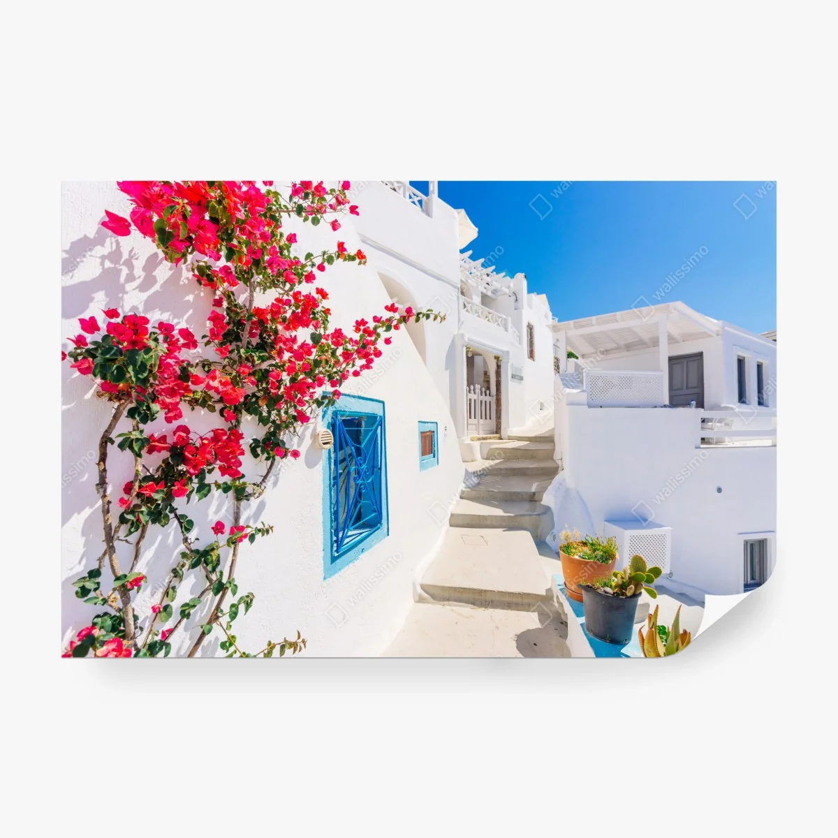 Fototapete Santorini weiße gasse mit bougainvillea – Wallnifity®