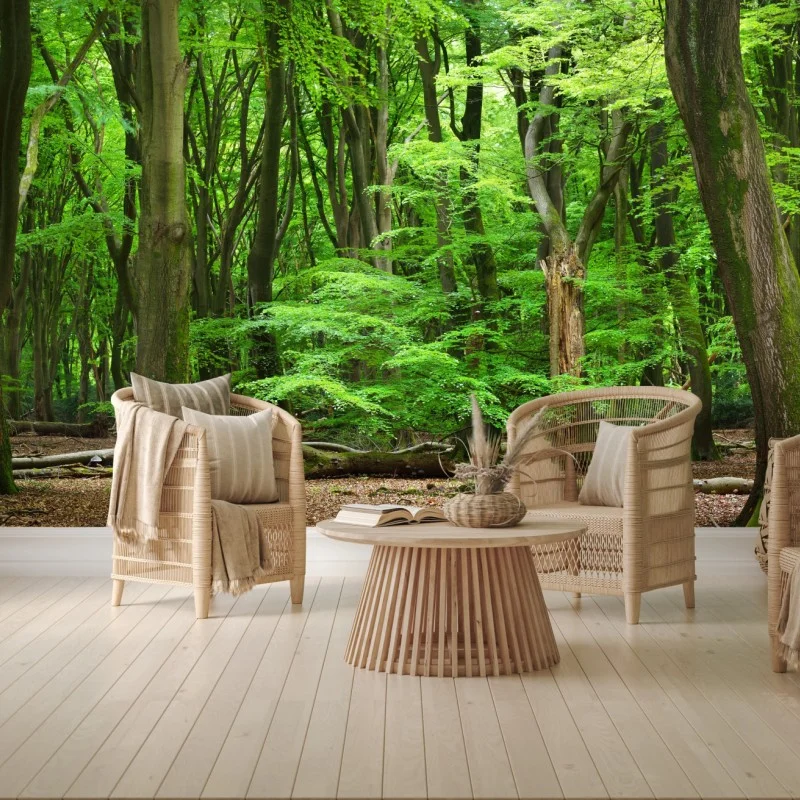 Wälder – Wallnifity®