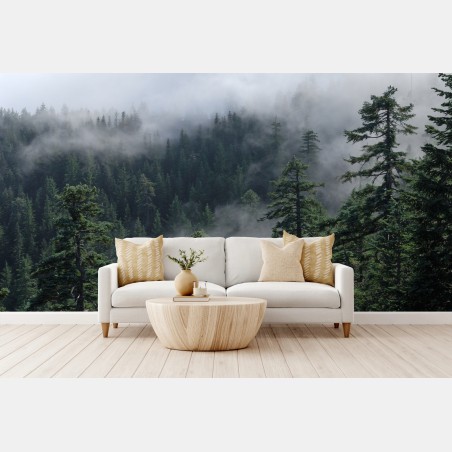 Fototapete nebliger wald vom Larch Mount, Oregon – Wallnifity®