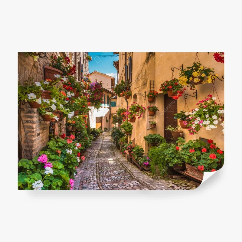 Straßen – Wallnifity®