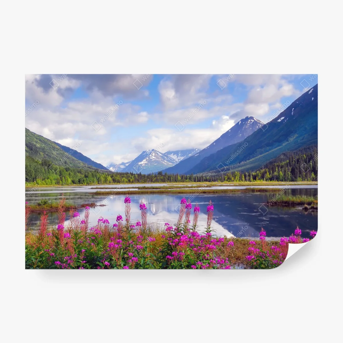 Fototapete Tern Lake spiegelungen, berglandschaft aus Alaska – Wallnifity®
