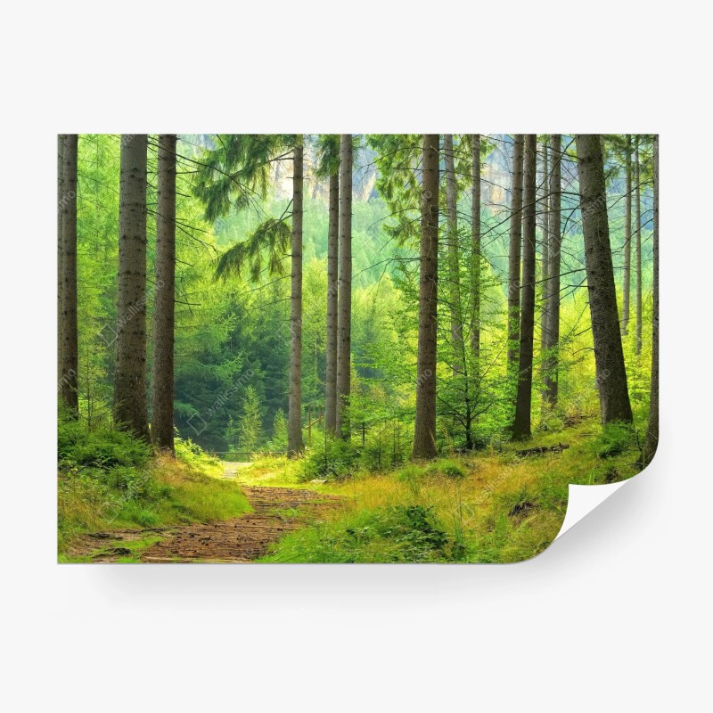 Natur – Wallnifity®