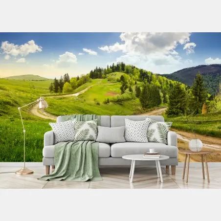 Fototapete gewundener feldweg durch grüne hügel – Wallnifity®