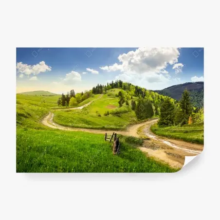 Fototapete gewundener feldweg durch grüne hügel – Wallnifity®