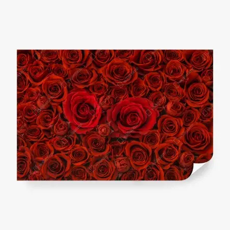 Fototapete prunkvolle collage roter rosen – Wallnifity®