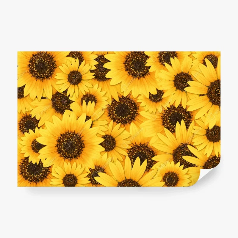 Blumen – Wallnifity®