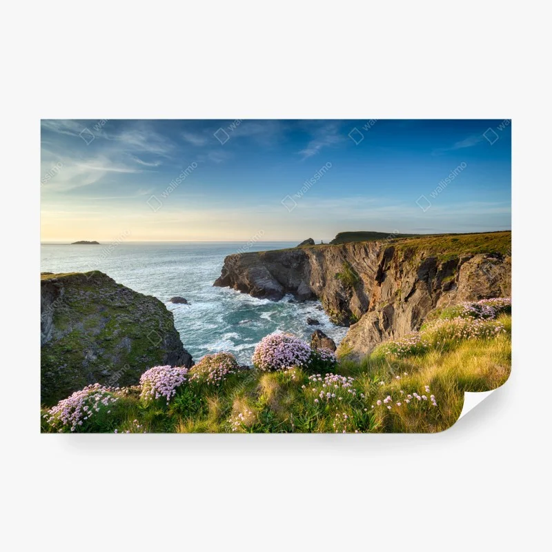 Fototapete – Wallnifity®