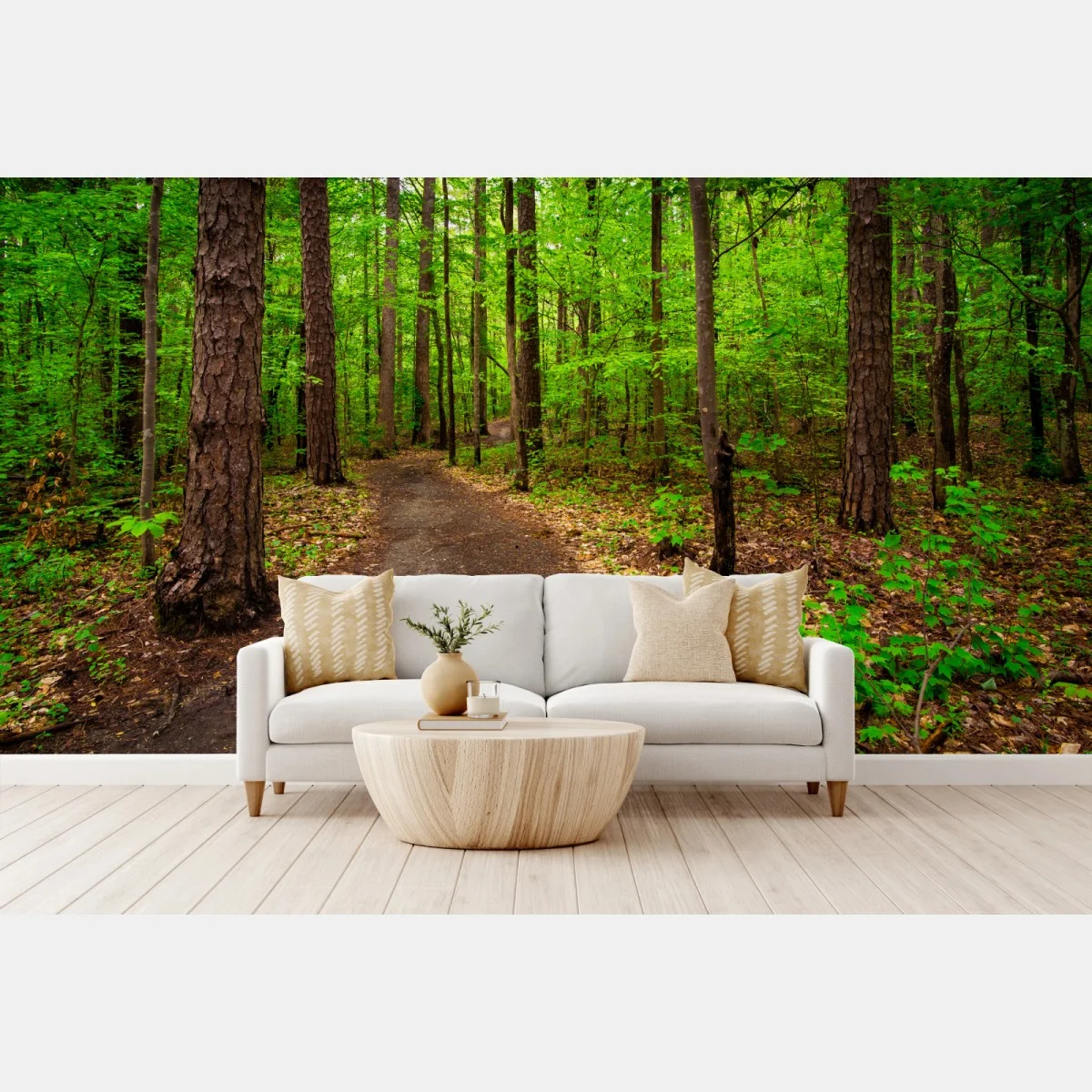 Fototapete ruhiger grüner waldpfad – Wallnifity® Fototapete ruhiger grüner waldpfad – Wallnifity®