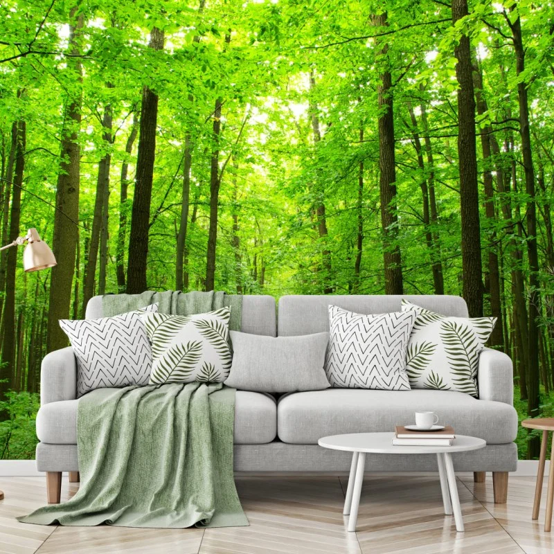 Wälder – Wallnifity®